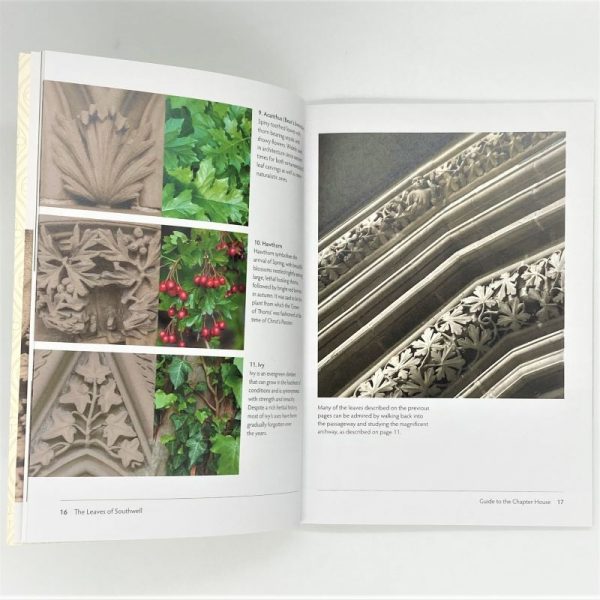 The Leaves of Southwell2