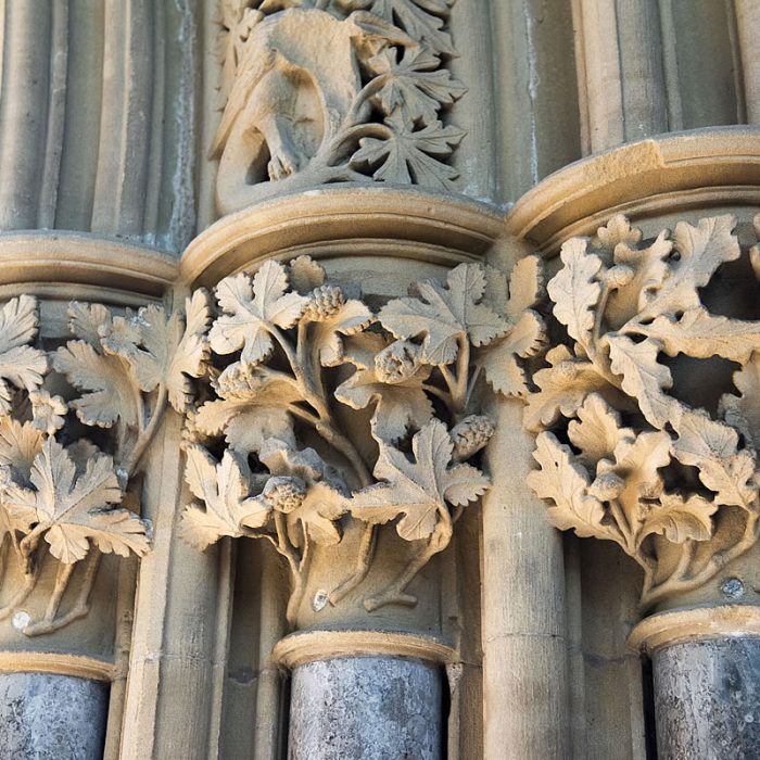 About the Leaves of Southwell