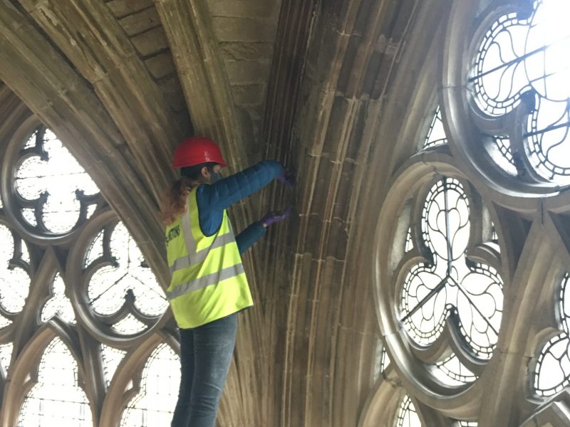 20: Cleaning and repairing delicate C13th stonework 20: Cleaning and repairing delicate C13th stonework