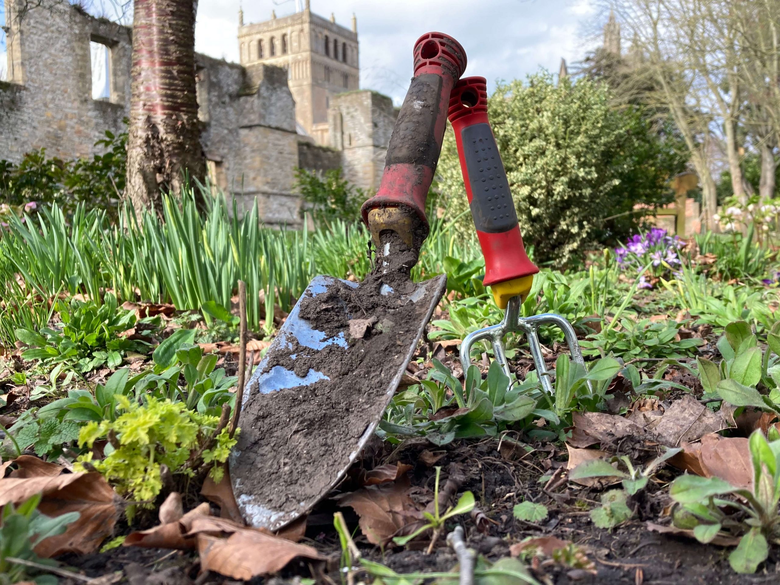 Garden volunteers