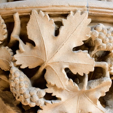 The Leaves of Southwell