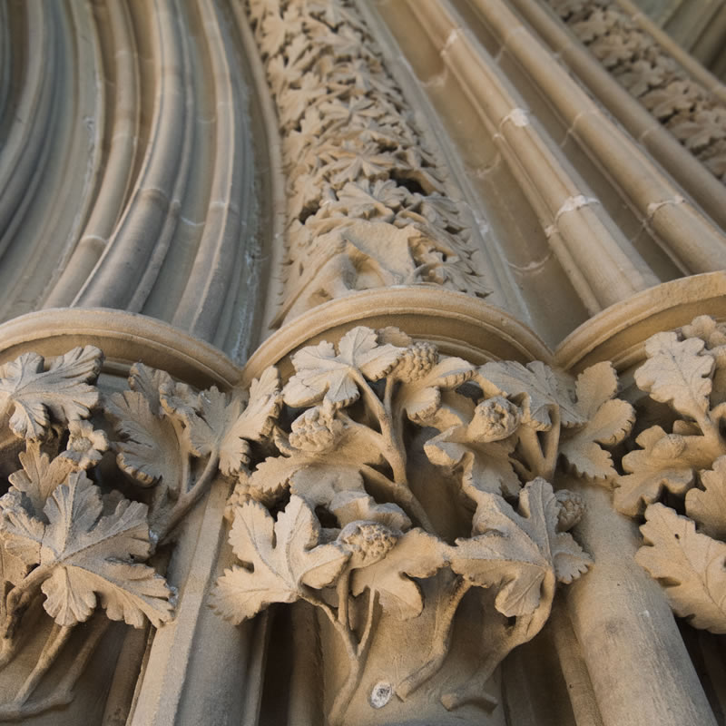 Leaves of Southwell stone carvings