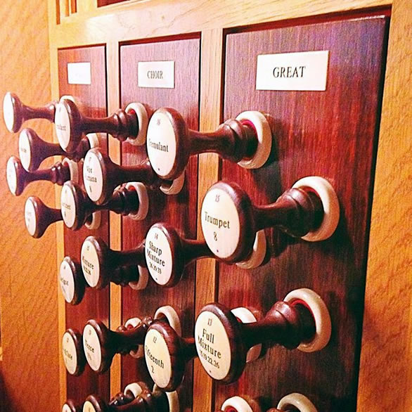 Organs