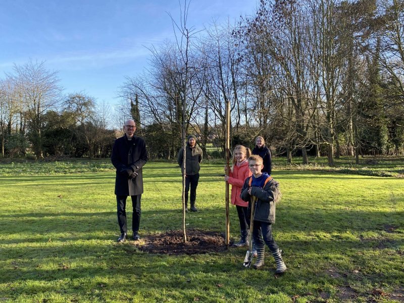 11: Tree planting 11: Tree planting